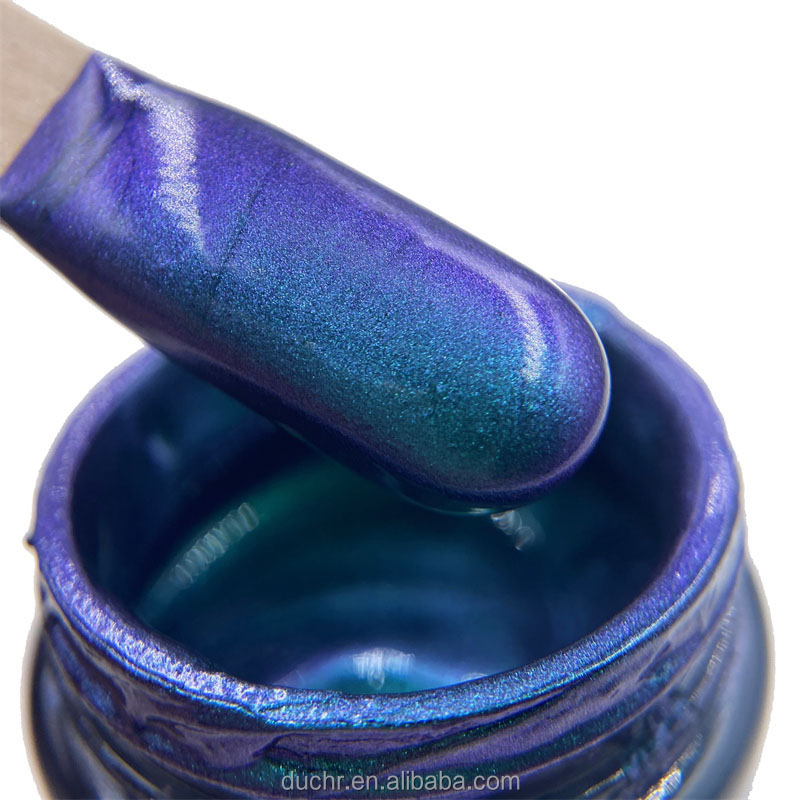 Drawing paint powder chameleon 1kg paint chameleon diy diamond painting chameleon
