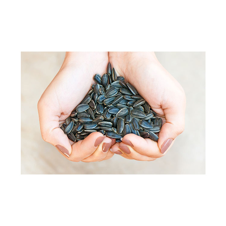 Quality Black Sunflower Seeds Sunflower Seed inshell Big Size Food Color Class Shelf Raw Natural Origin Type Human