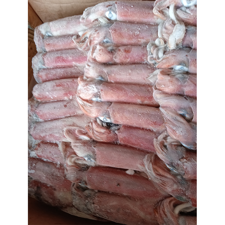 Новое поступление, оптовая продажа морепродуктов SANFENG, кальмары, Замороженные Кальмары Loligo для продажи