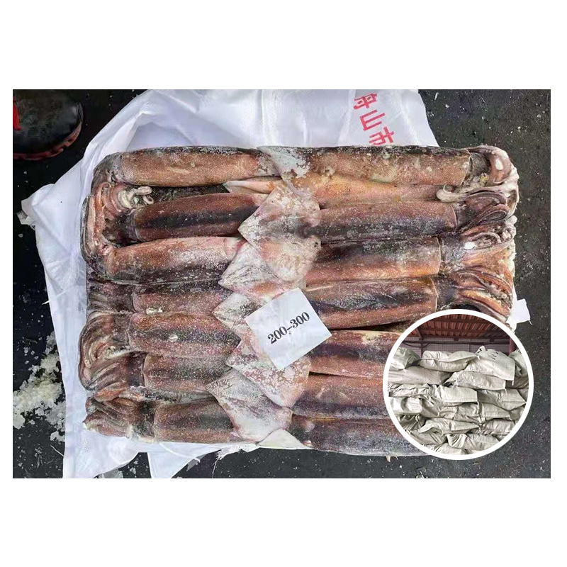 Рыболовная приманка для кальмара, китайская упаковка для упаковки кальмаров, свежий замороженный кальмар, цена