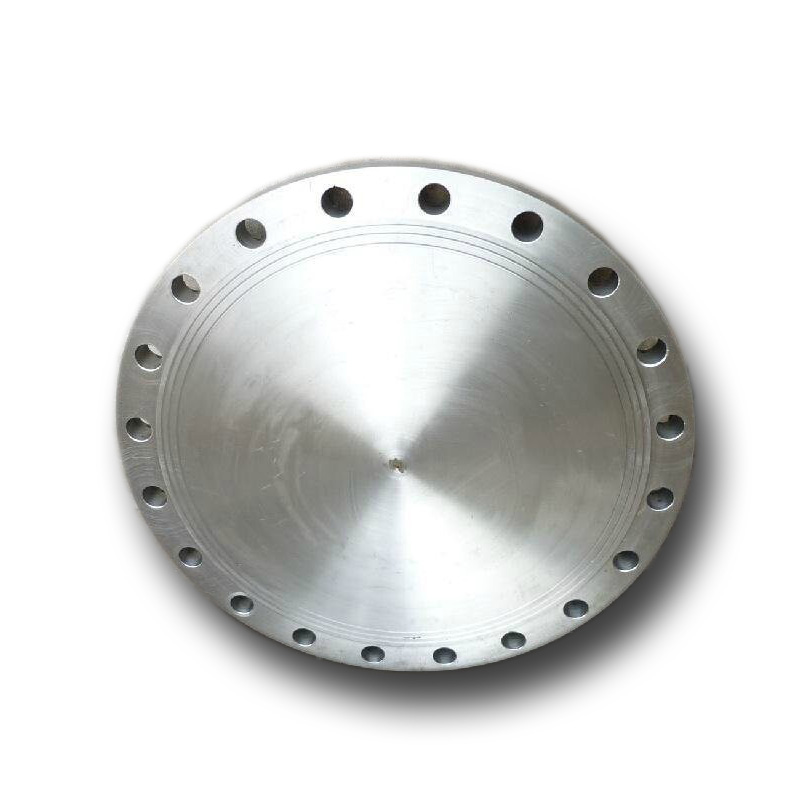 Customized sus stainless steel astm182 347 347H UNS S34709 rf blind flange