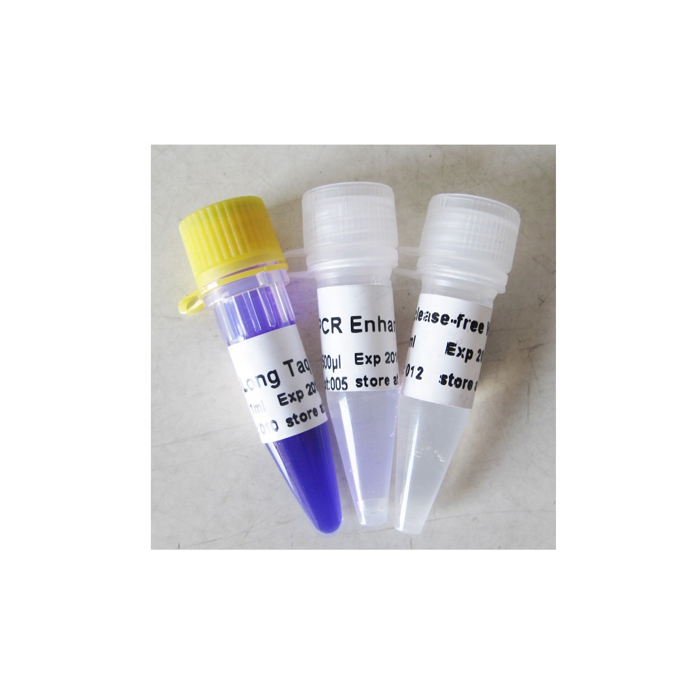 2x Long Taq PCR Mix