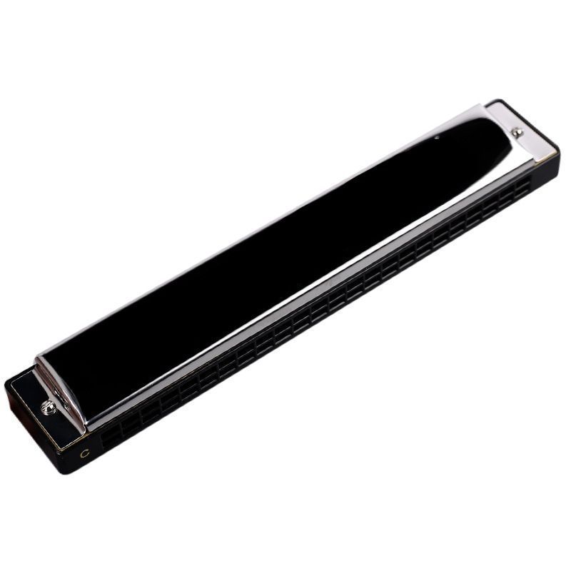 24-Hole Harmonica Beginner's Entry Easy to Learn Polyphonic C Key Children Playing Musical Instrument Harmonica