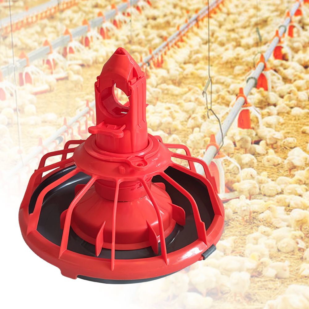 Poultry Husbandry Equipment for Feeding and Drinking