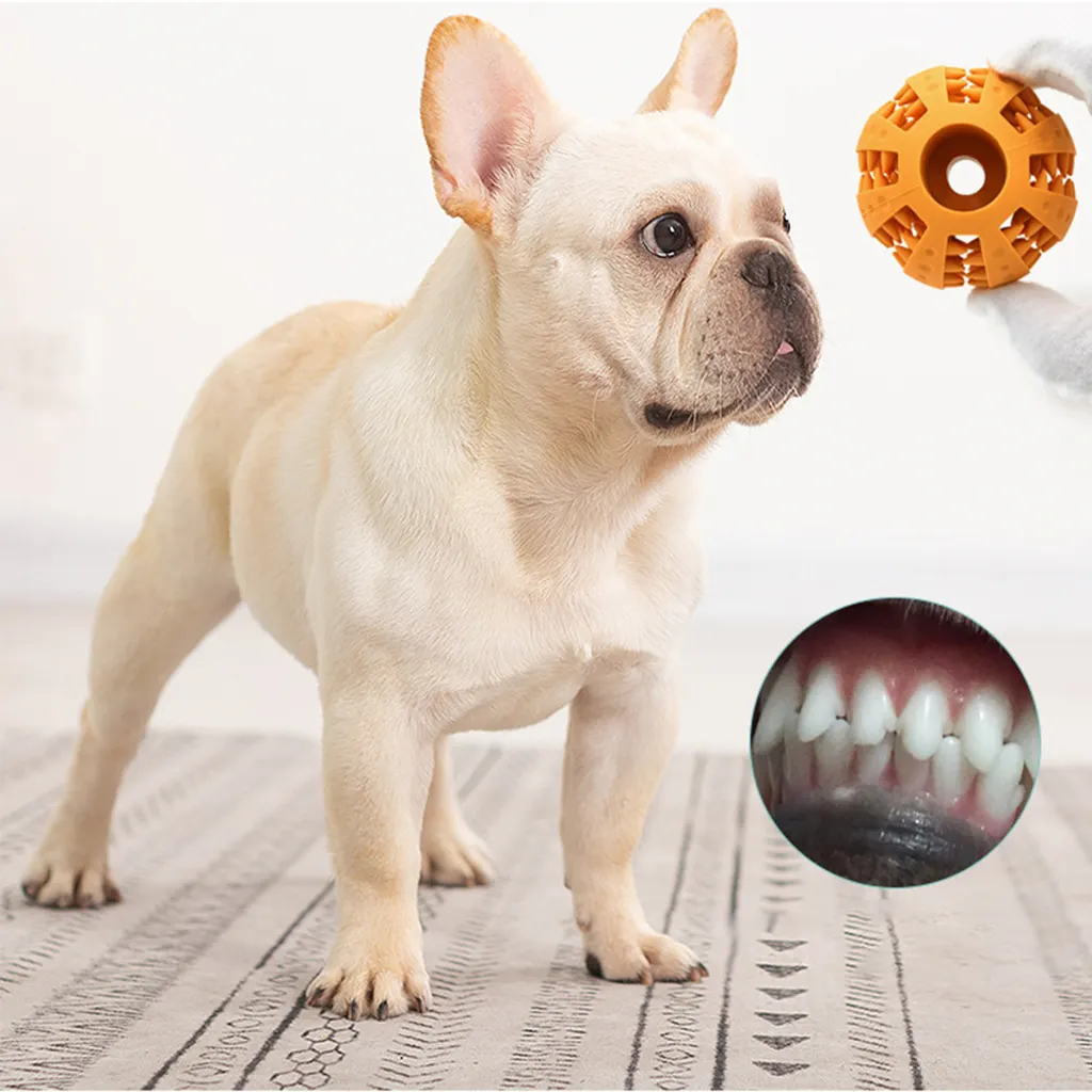 Hot Sale Interactive Chewing Rubber Dog Chew Balls Toothbrush Molar Dogs Pet Dog Chew Toy