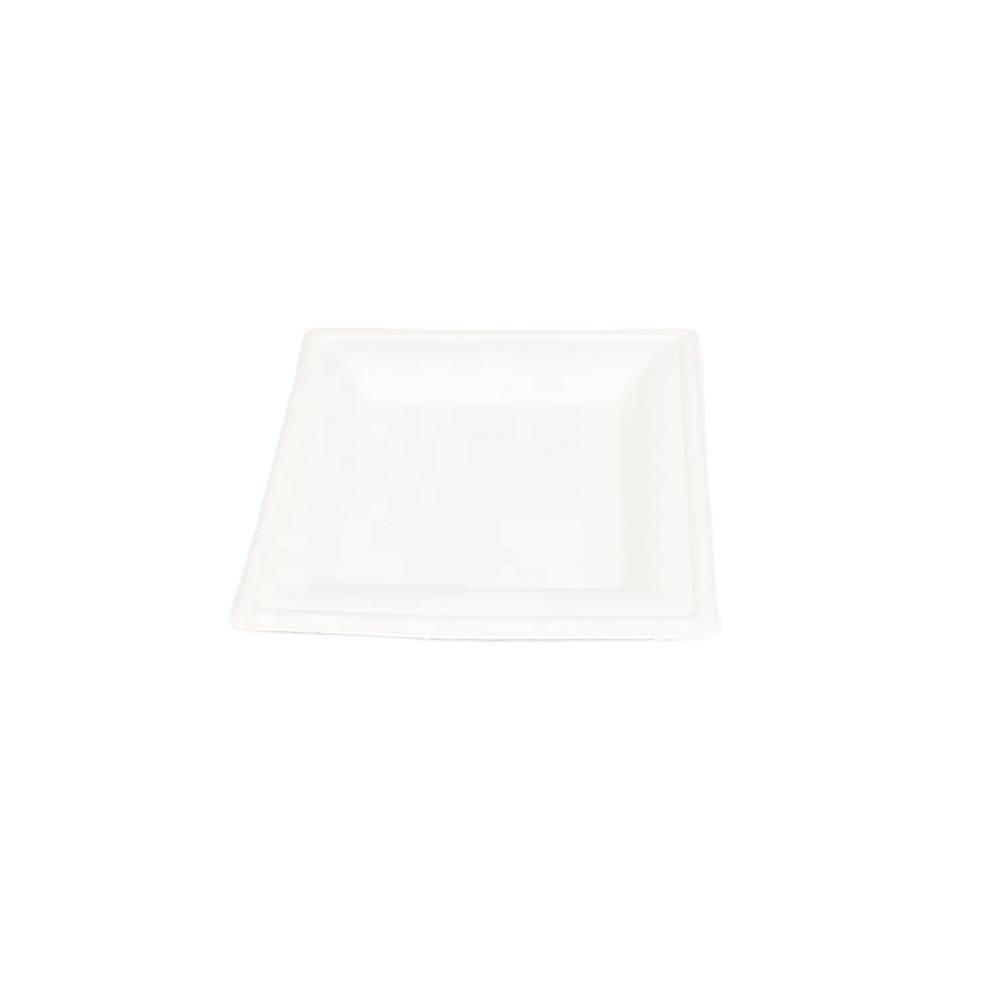 Disposable bagasse 6inch tray square plate square