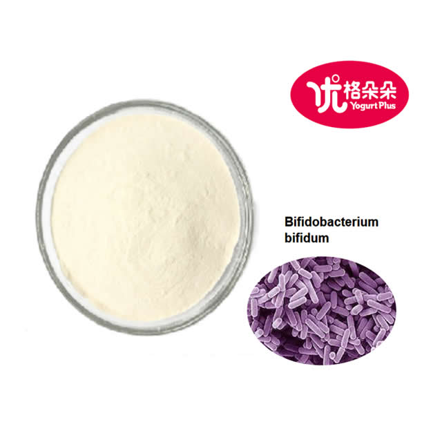 1KG Package 100 billion CFU per gram freeze-dried Bifidobacterium bifidum probiotics powder for health benefits