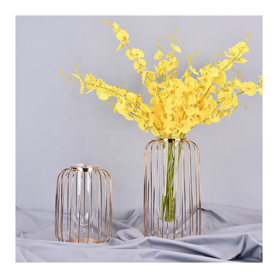 Modern Vase home decor Metal Gold Flower Glass Tube Hydroponic Flower Culture Apparatus Glass Vases