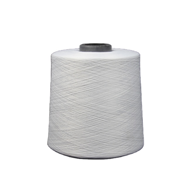 Полиэфирная пряжа, цена от производителя, 150 денье DTY 150D 48F 2 слоя SD RW его образец, запас, прямой заказ, поддерживается
