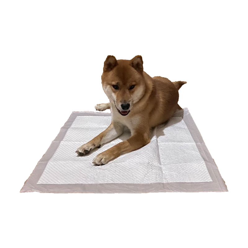 Wholesale Manufacturer Disposable Training Puppy Dog Pads