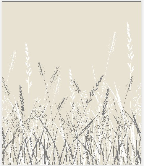 Window curtain