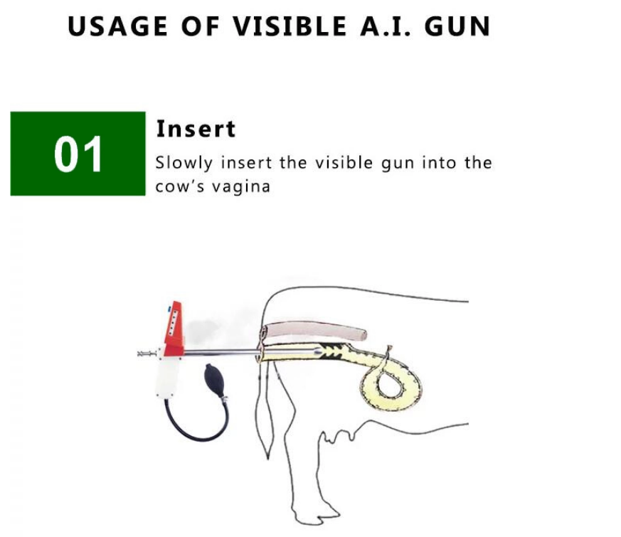 Hot Sale  Handheld Artificial Insemination Gun for Cattle