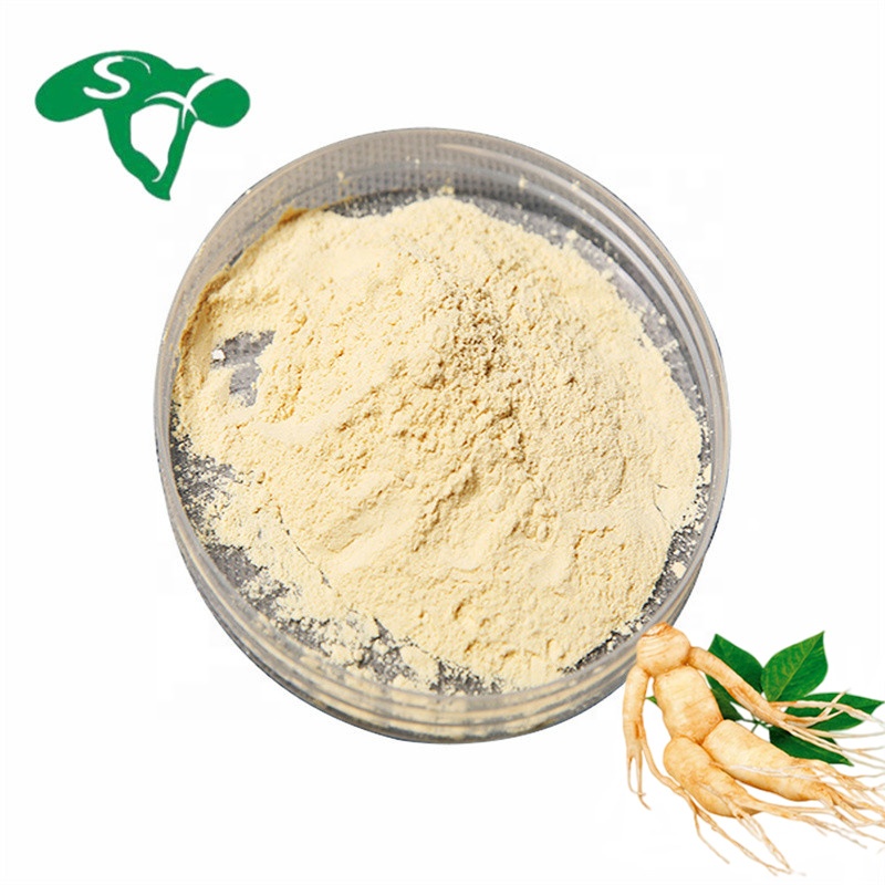 Ginseng Extract Natural Chinese Ginseng Stem Leaf Extract Ginsenoside 80% Powder for health care