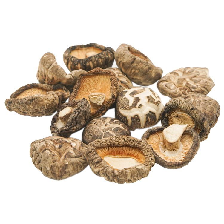 Dried Tea Flower Shiitake Mushroom Whole