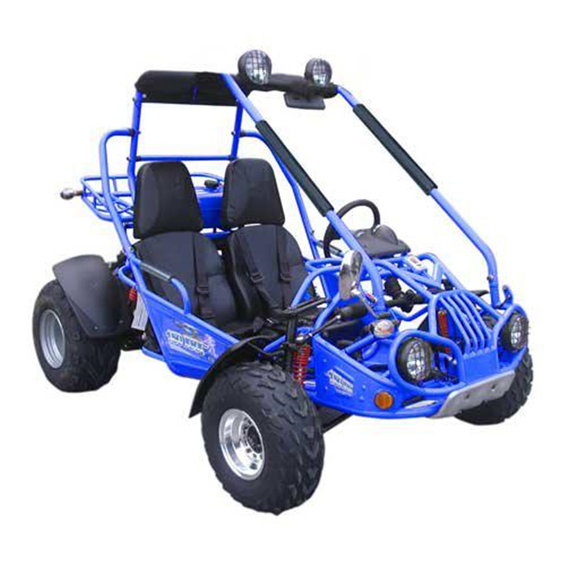 Uwnat 110CC 2-местный дешевый газовый картон Go Kart с сертификатом EEC EPA go karts для продажи двигатель go kart
