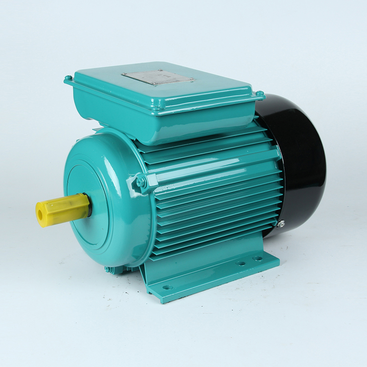 Yl 7124 8012 Yl90L 2 4 110 вольт 240 вольт л. С. 2 л.с. 3Hp 5Hp однофазный двойной конденсатор асинхронный Электрический индукционный двигатель