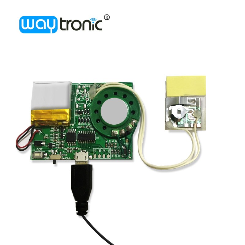 Программируемый звуковой модуль USB, модуль устройства для записи голоса и аудио, записывающие микросхемы для карт