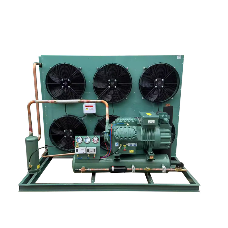 Customized Piston Cold Room Refrigeration Unit Other Heat Exchange & Refrigeration Unit for Cold Storage Walk in freezer