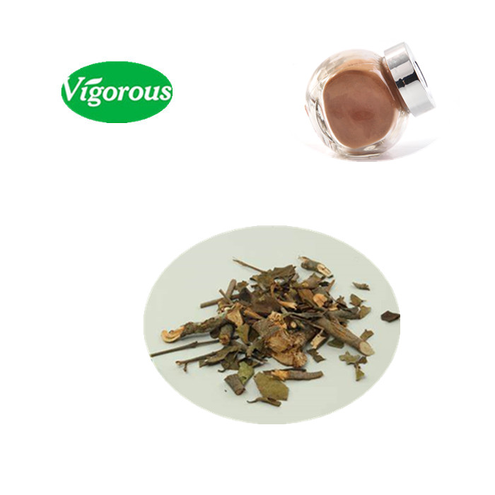 High quality healthy Taxillus chinensis extract Powder