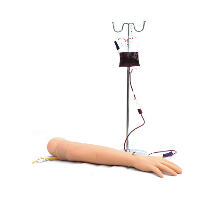 SY-NS3 Advanced arm arterial puncture and intramuscular injection training model arterial puncture training model nursing model