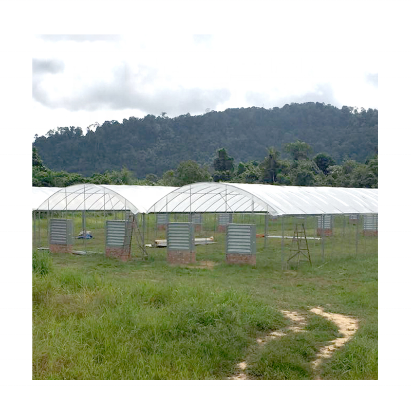 Multi-span greenhouses plastic sheeting gutter connected greenhouse nft system with greenhouse kit