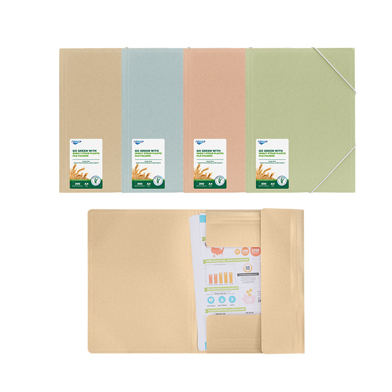 Stationery Office Supplies Plastic 3 Flap Elasticated Paper File Folder with elastic bands closure factory price