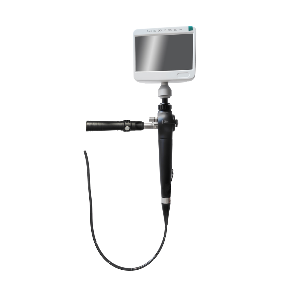 IN-P029-1 Portable Medical Wifi USB Endoscope Camera Flexible Video Endoscope