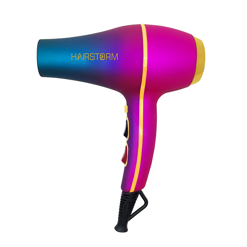 Most Popular Salon Hairdryer Ionic 2021 Professional Best Selling Hot Blow Hair Dryer Ac Motor