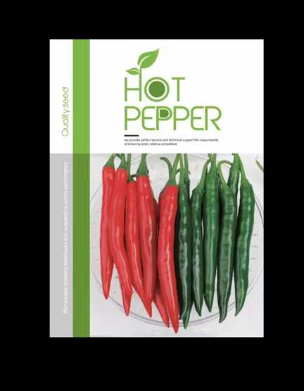Chilli Pepper seeds F1