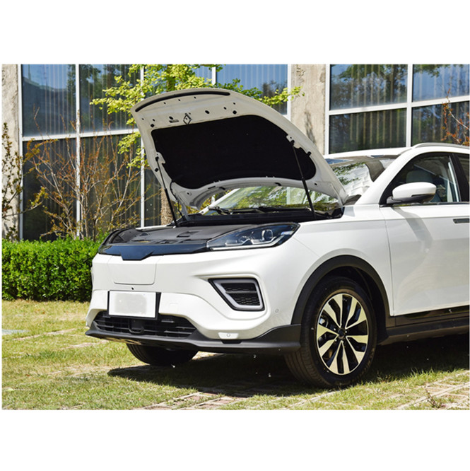 fashionable electric car Hot SUV Electric Cars for Family Use electric