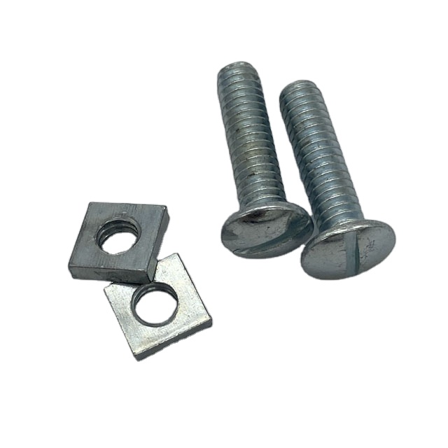 Slotted round head Screws with square nuts