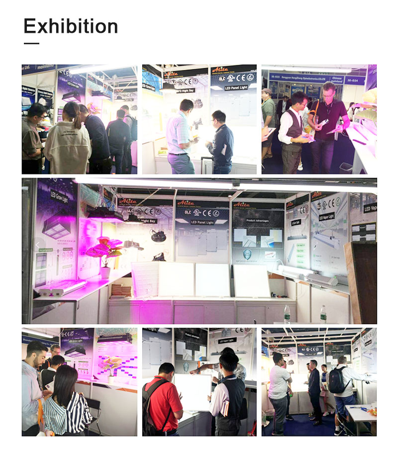 Economical 2FT 4FT LED Vapor Tight Strip Fixture LED Weatherproof Fitting