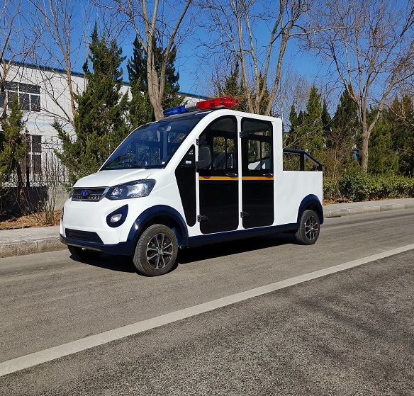 2019 взрослых новых электрических транспортных средств автомобилей новой энергии Китай пикапов