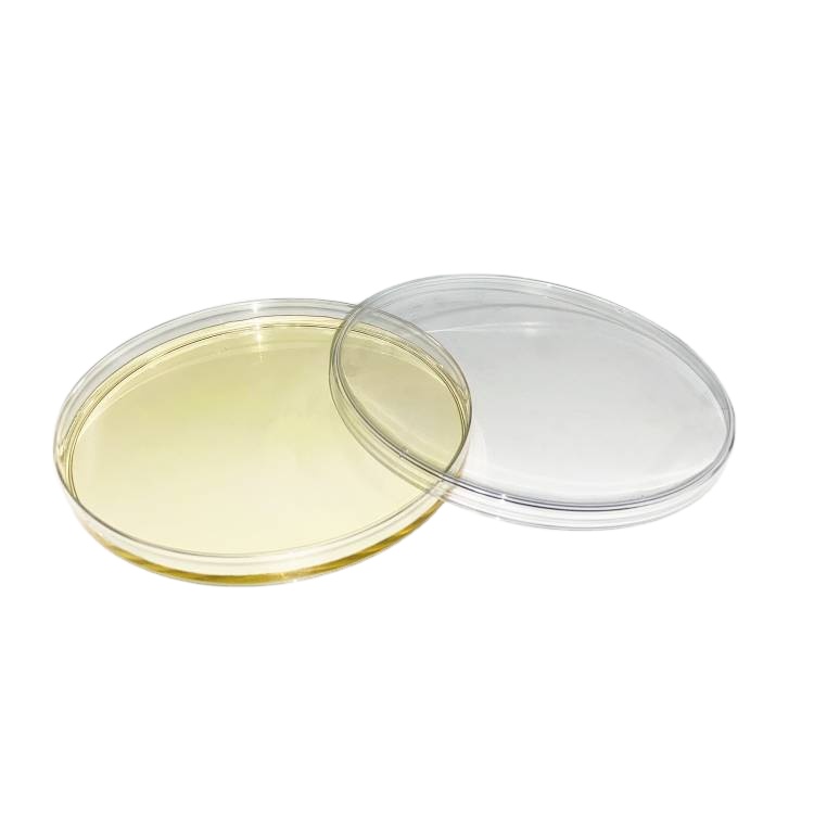 Transparent Disposable Petri Dish Four Model Petri Dish Mesin From Petri Dish Mould