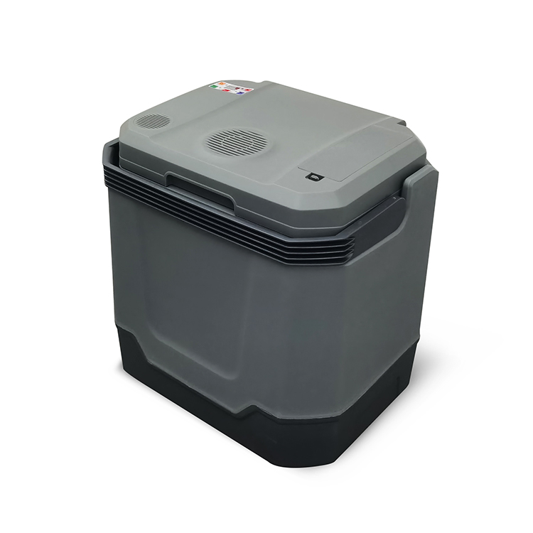 2021 High quality 33L oem plastic insulated cooler box with blue speaker