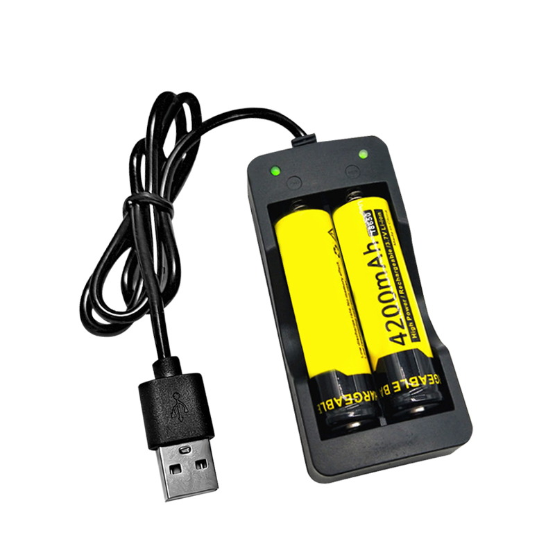 Универсальное Usb зарядное устройство PUJIMAX с 2 слотами и USB-кабелем для зарядки литий-ионных аккумуляторов 21700 26650 18650