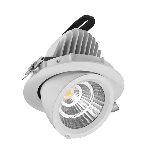 Supermarket 30W 35W 40W Fresh Meat Lighting Special Color Pink Meat LED Down Light With Adjustable Gimbal Downlight