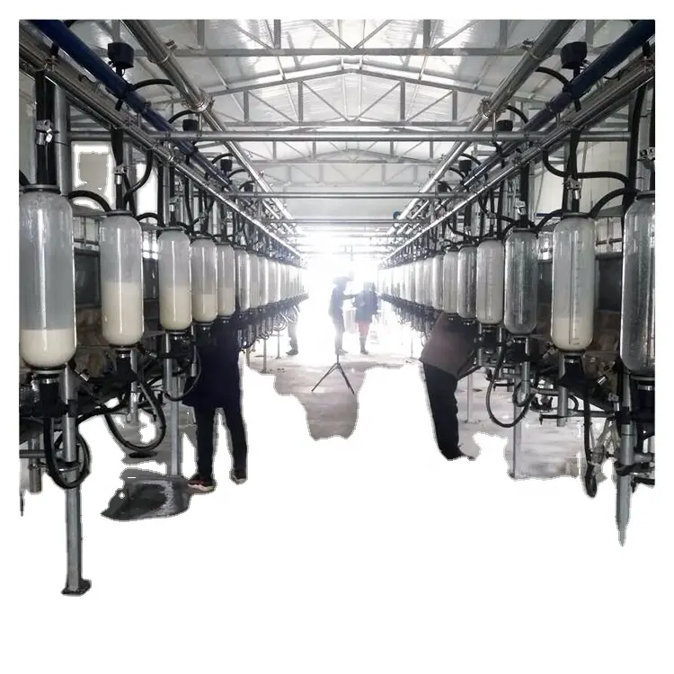 KLN 9JY Type Goat Automatic Milking Parlour Equipment