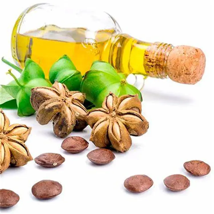 Orgnic Sacha Inchi Oil Pure Natural, INCA INCHI Plukenetia Volubilis Oil for Nutritional supplements Soft Capsule
