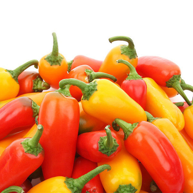 Small Mini Paprika Red Yellow Bell Pepper Sweet Juicy Taste Korea Capsicums Bell Pepper Made in Korea