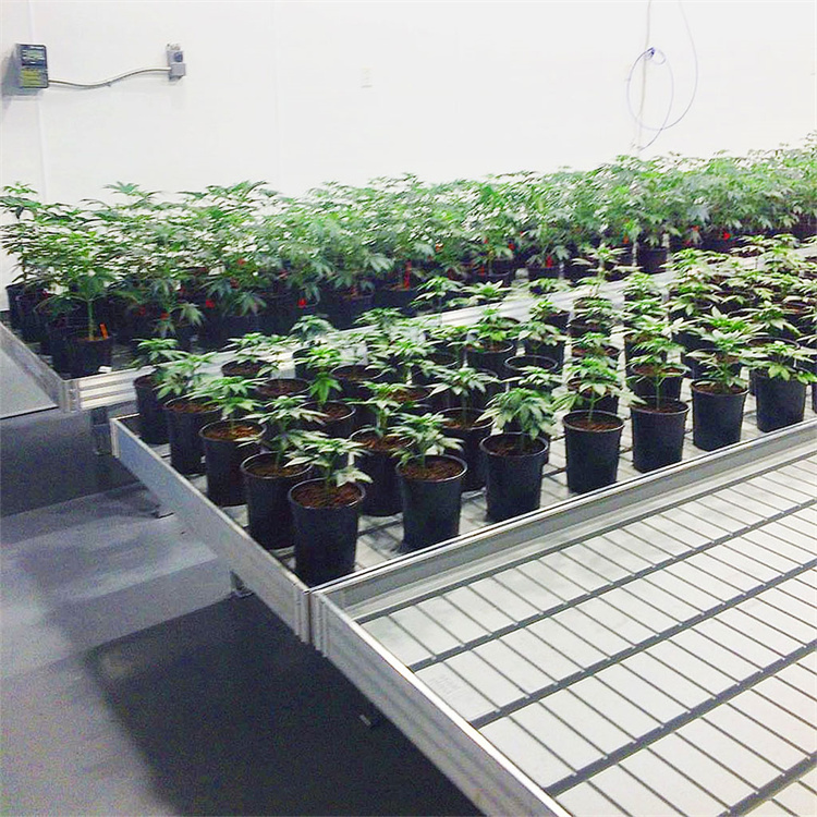 Multi span film greenhouse rolling flood tray ebb and flow table rolling benches growing