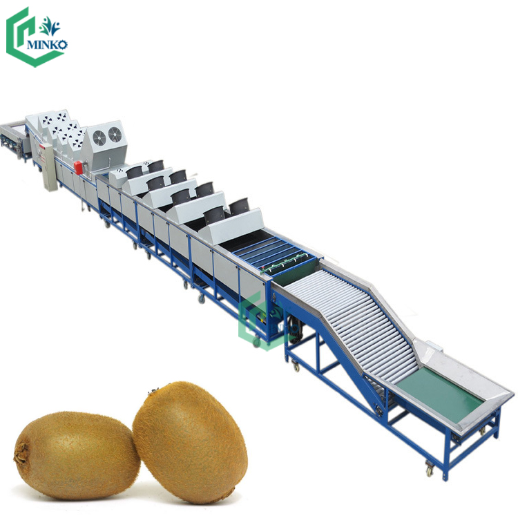 industrial highly automated production fruit washing/waxing/grading machine apple kiwis sorter