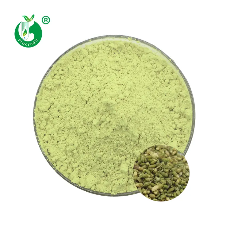 Pure Natural Luteolin Powder Sophora Japonica Extract 98% Luteolin