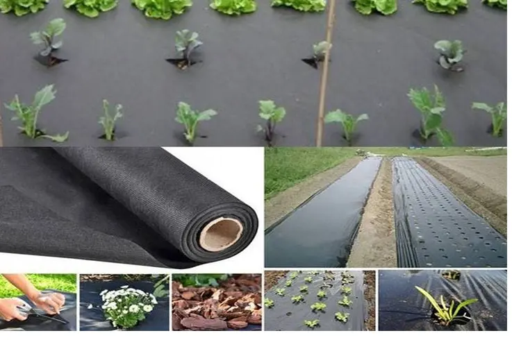 Plastic Weed Mat Barrier For Farmland