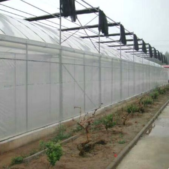 Agriculture multi-span arch plastic film Greenhouse tomato greenhouse and strawberry greenhouse turnkey project