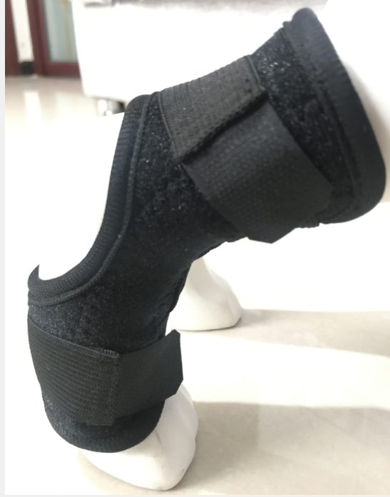 New style injury recover dog leg hock protect breathable neoprene pet knee pads with spring strip