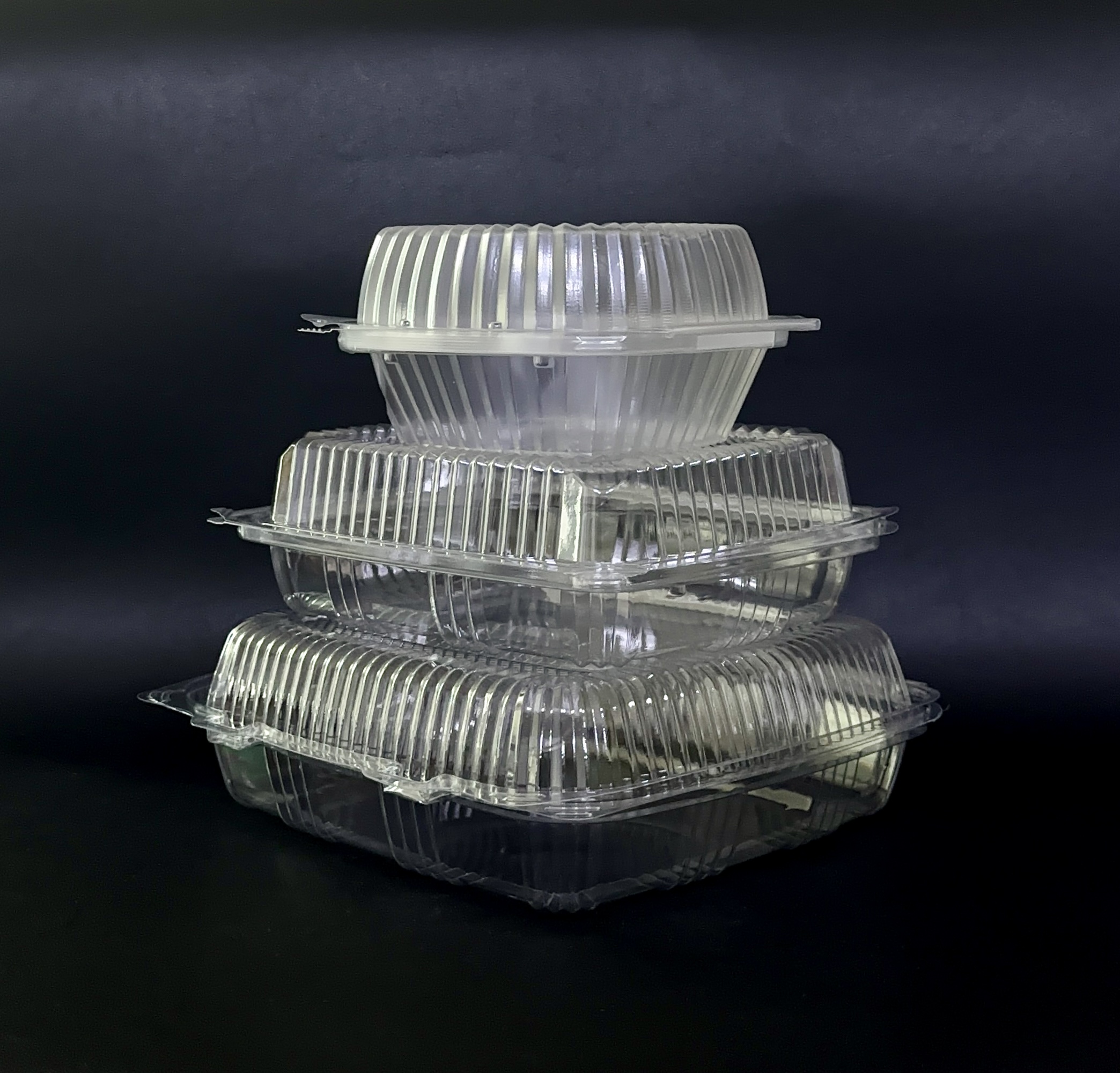 PET 6 8 9 Inch Plastic Container Fooddisposable Containers With Lids For Foodbagasse Container