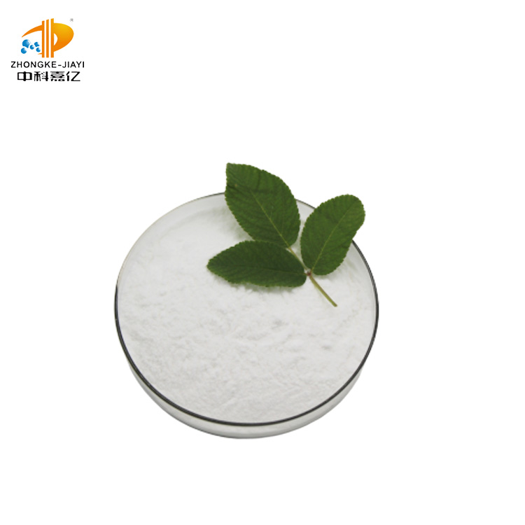 Health Lactobacillus Plantarum