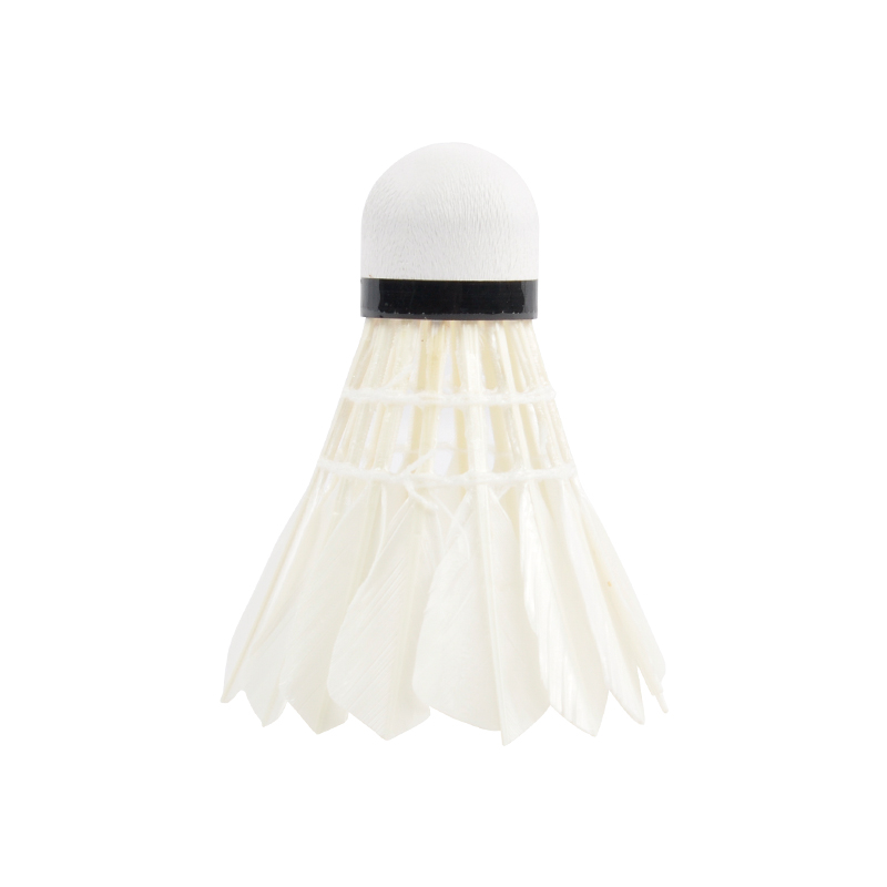 Outdoor Sports Exercise Fitness Shaping Shuttlecock Birds Plume Shuttlecock Badminton Set