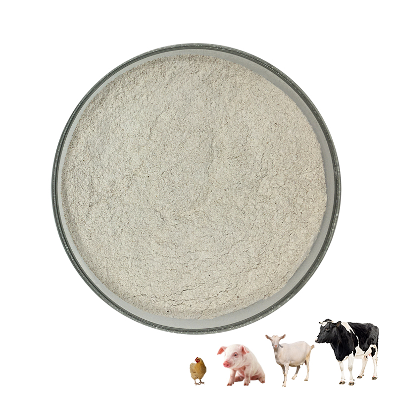 Bacillus subtilis for optimizing intestinal health in animal breeding